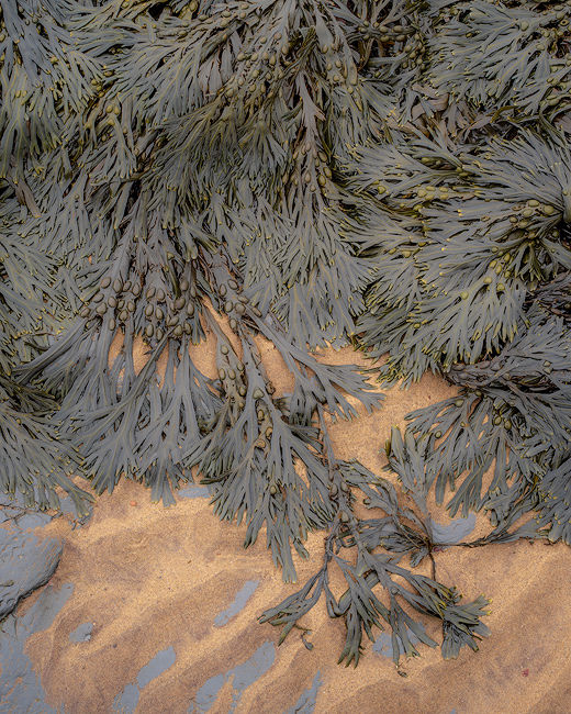S 2019 12 27 0052 rhb-Pano-copy