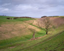 S 2020 03 01 0069 tun-copy