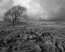 'Clearing Storm in the Dales'