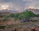 'Loch Torridon'