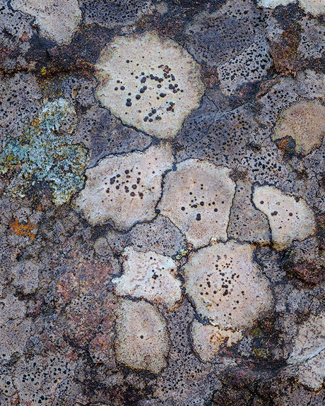 ‘Rock study’
