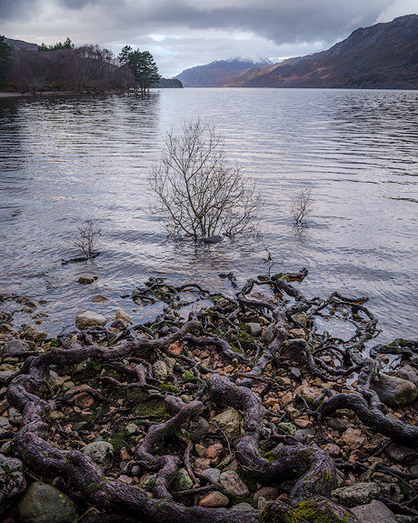 'Loch Maree'