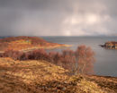 'Incoming snow storm'