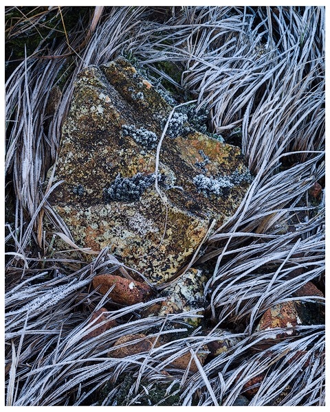 Frosted Rocks