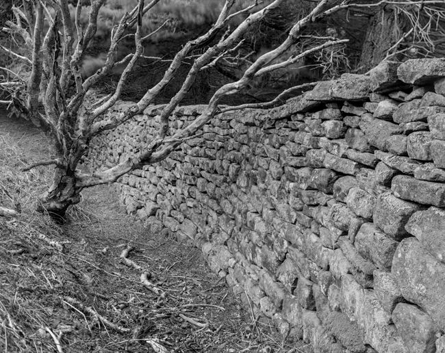 'Wall'