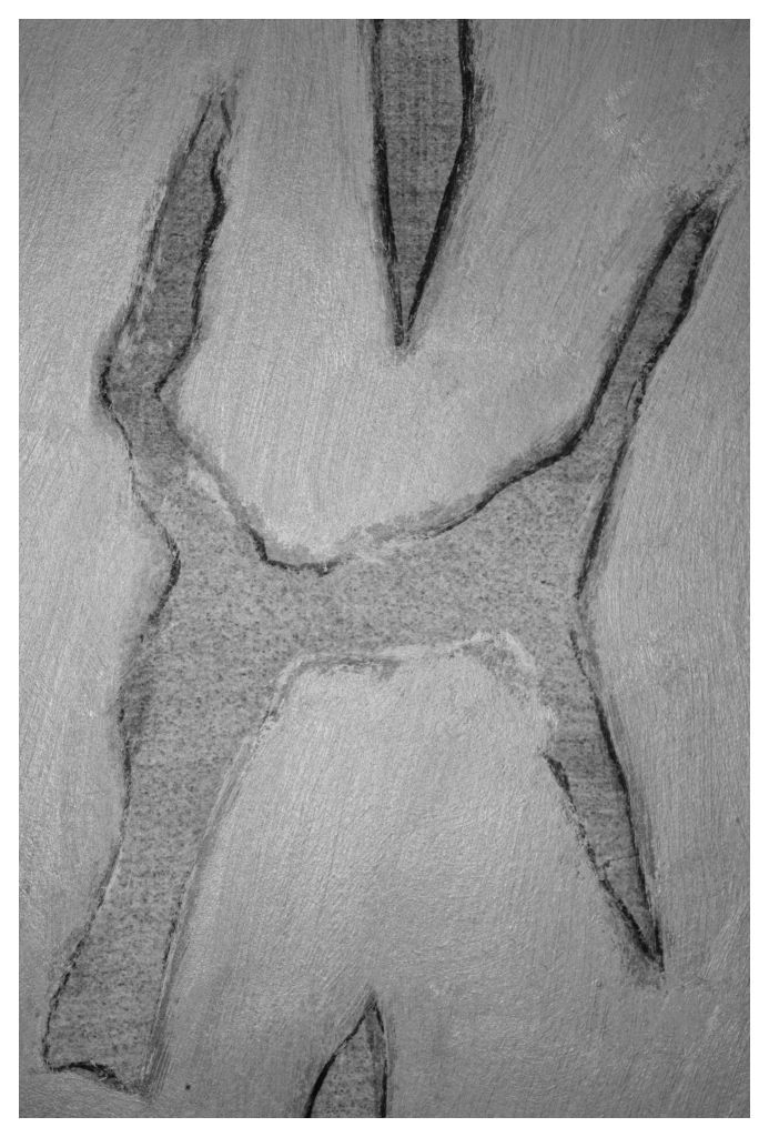 10 Alice Browne A Question