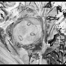 10 Sarah Lederman Blog