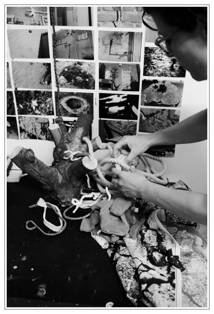 13 Alice Browne Blog