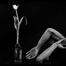 13 Enchanted Bodies at Blyth Gallery