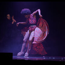 14 Cabrole´ Performance