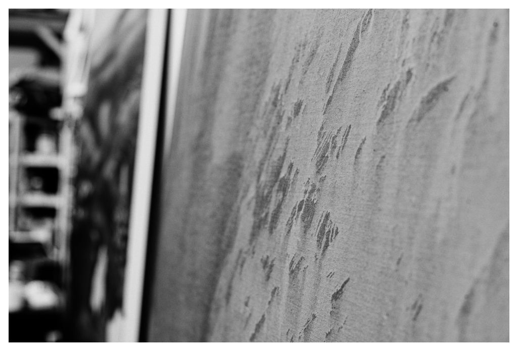 15 Alice Browne A Question