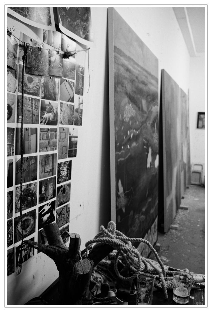 15 Alice Browne Blog