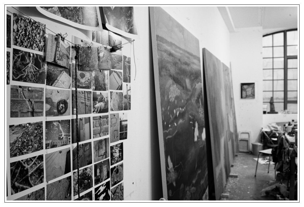 16 Alice Browne Blog