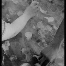 17 Cabrole´ R and D at SDS