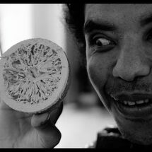 19 Cabrole´ R and D at SDS