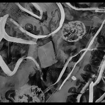 20 Cabrole´ R and D at SDS