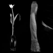 21 Enchanted Bodies at Blyth Gallery