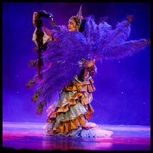 22 Cabrole´ Performance