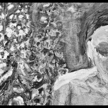 22 Sarah Lederman Blog