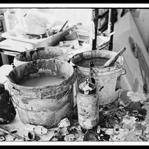 24 Susie Hamilton Blog