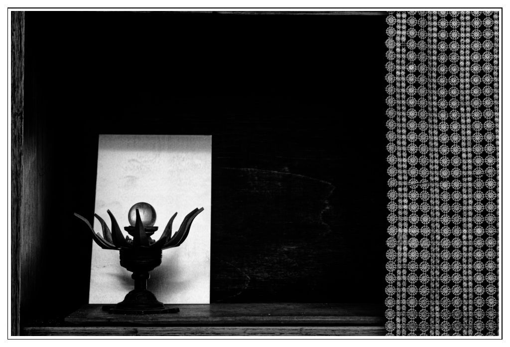 25 Delia Woodman Window