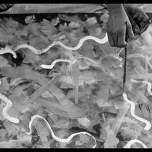 28 Cabrole´ R and D at SDS