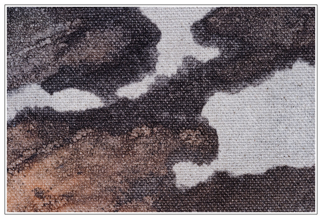 29 Issy Wilson Colour Details