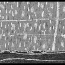 29 Sarah Lederman Blog