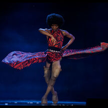 31 Cabrole´ Performance