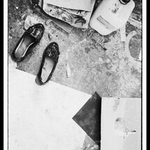 33 Susie Hamilton Blog