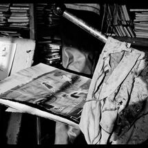 38 Susie Hamilton Blog