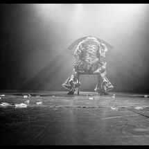 39 Cabrole´ Dress Rehearsal