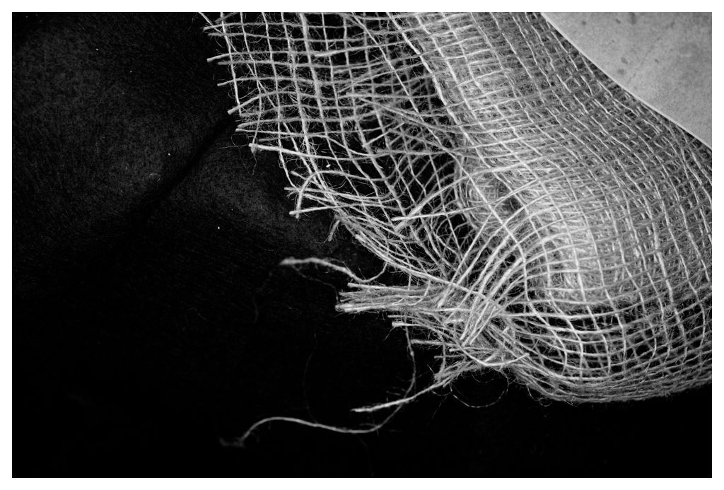 3 Alice Browne A Question