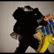 3 Cabrole´ Performance