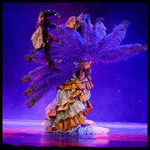 40 Cabrole´ Performance