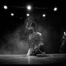 41 Cabrole´ Dress Rehearsal