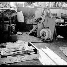 41 Susie Hamilton Blog