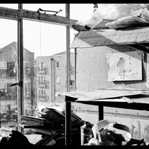 44 Susie Hamilton Blog