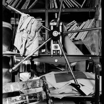 47 Susie Hamilton Blog