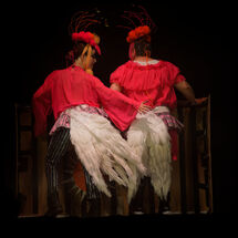 48 Cabrole´ Performance