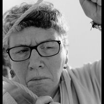 4 Cabrole´ R and D at SDS