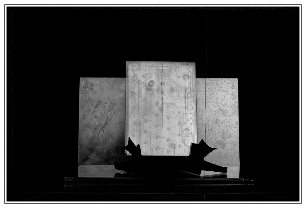 4 Delia Woodman A Window For The World