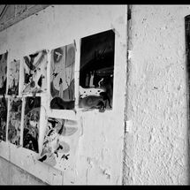 51 Susie Hamilton Blog