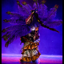 54 Cabrole´ Performance