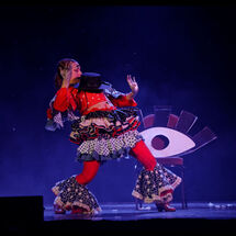 56 Cabrole´ Performance