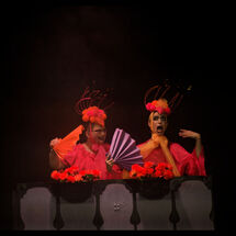 59 Cabrole´ Performance