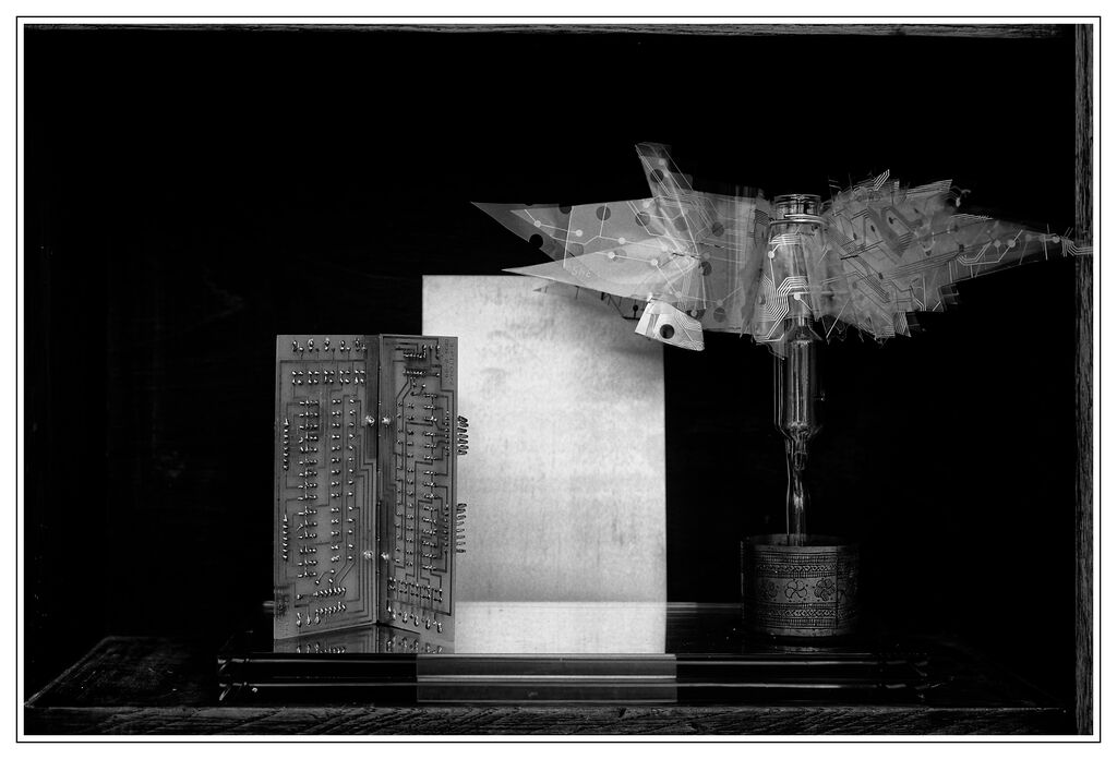 5 Delia Woodman A Window For The World