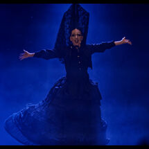 61 Cabrole´ Performance