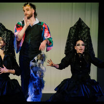 66 Cabrole´ Performance