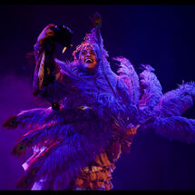 72 Cabrole´ Performance